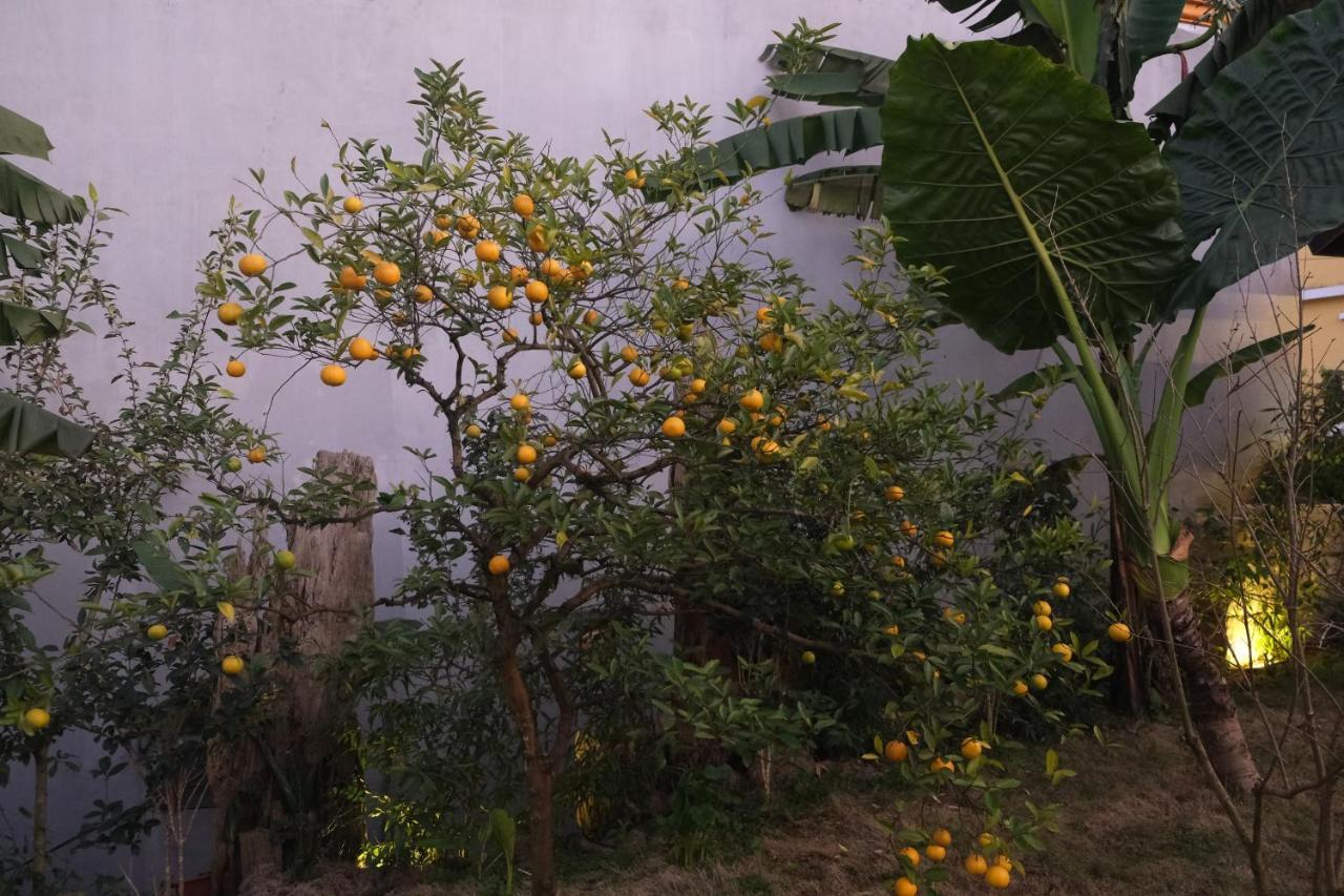 Sapa Charming Homestay المظهر الخارجي الصورة